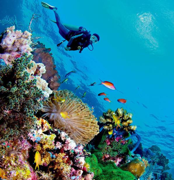 阳春三月，小萌高管们受邀齐飞诗巴丹参加“马布海洋日”~