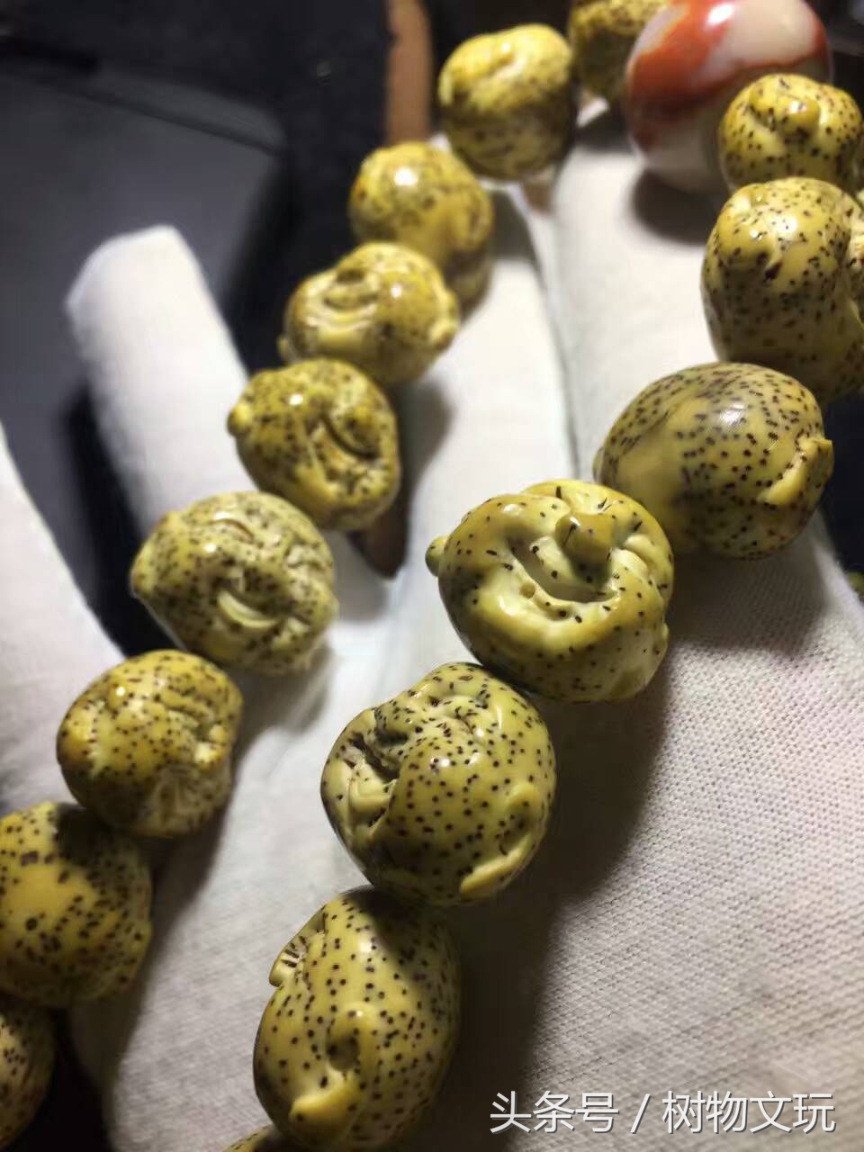 星月菩提放着变色了怎么办,星月菩提子上色方法