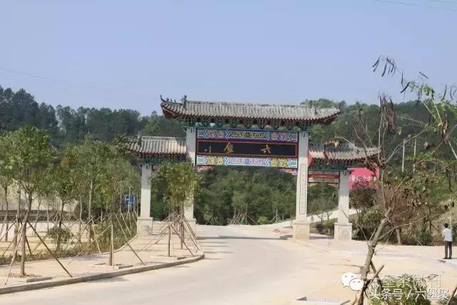 六堡茶黎宝林,茶江湖茶业旗舰店