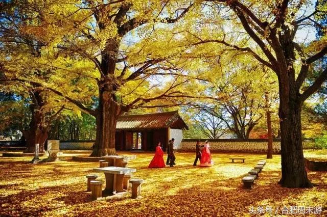 坐火车便宜旅游的国家,坐火车就能出国旅游的攻略