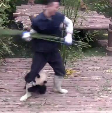 中国十大最火的外国网红,抖音百万网红姐弟抱大腿