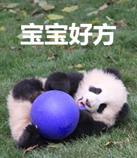 中国十大最火的外国网红,抖音百万网红姐弟抱大腿