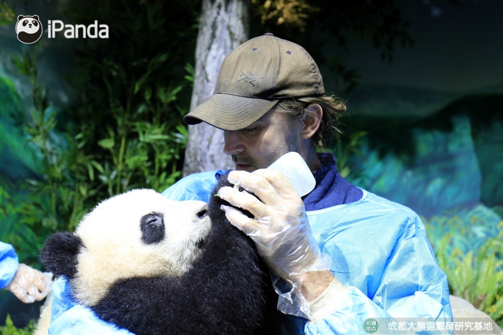 中国十大最火的外国网红,抖音百万网红姐弟抱大腿