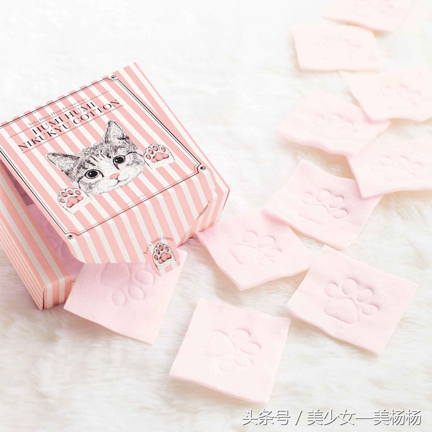 你们都是美杨杨爱的喵！萌到众生的猫咪系美妆品，喵星人驾到！