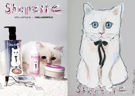 你们都是美杨杨爱的喵！萌到众生的猫咪系美妆品，喵星人驾到！