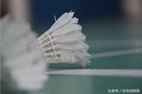 新手羽毛球装备,纯入门新手适合用什么羽毛球