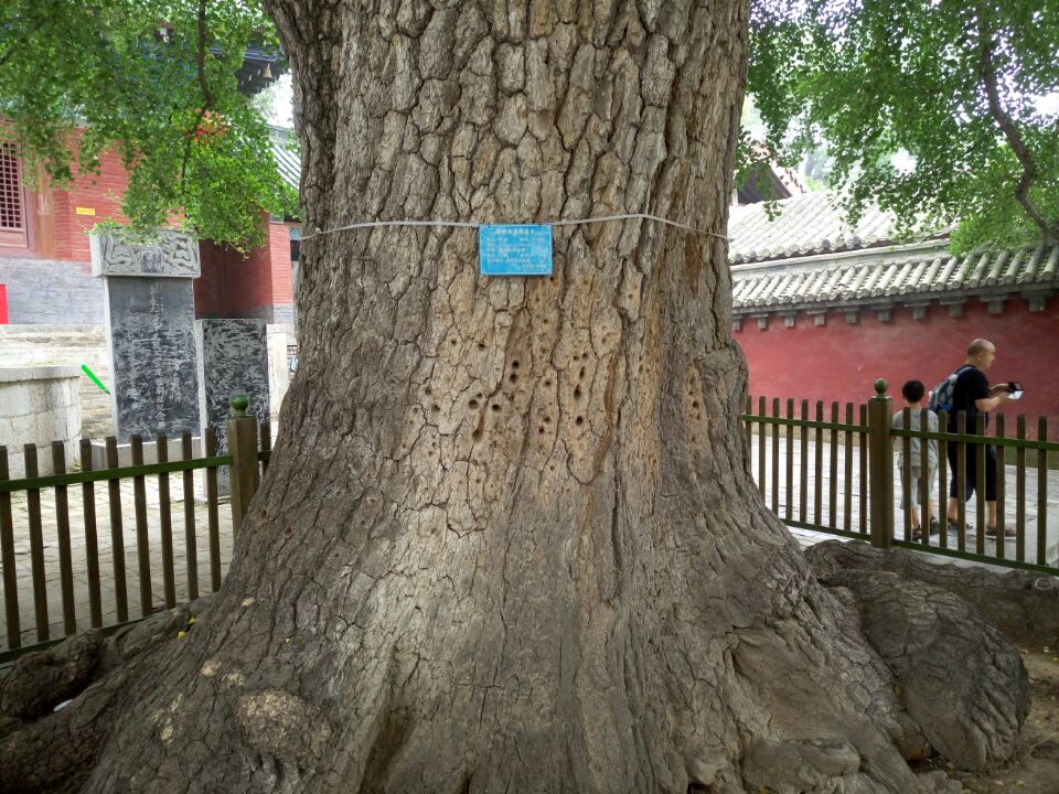 怎么才能来一场说走就走的旅行,国内穷游指南说走就走