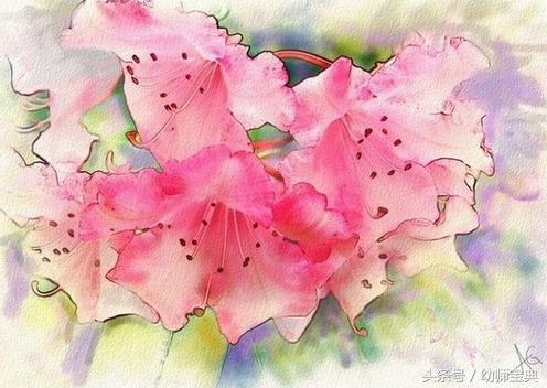 幼儿园体育游戏音乐欢快,音乐游戏幼儿园中班律动