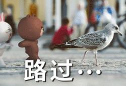 春天过敏的解决方法,春天过敏的原因是什么