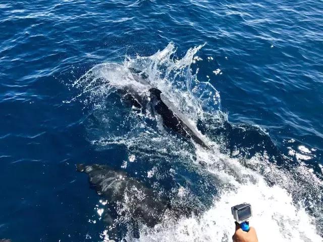 这才是旅行的样子，从亚洲至南美洲，他比我们多了点勇气和决心