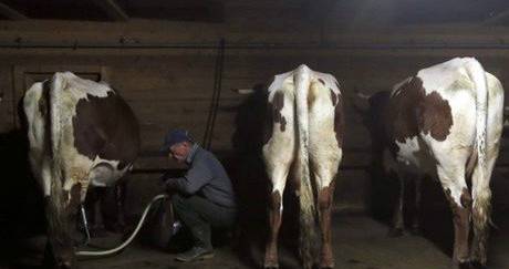 那些让人啼笑皆非的奇葩新闻,盘点那些让人忍俊不禁的搞笑瞬间