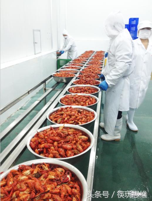 小龙虾逆袭过程,小龙虾未来5年走势