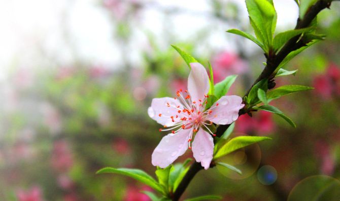 今日话题——三月来了，你最想做点什么？