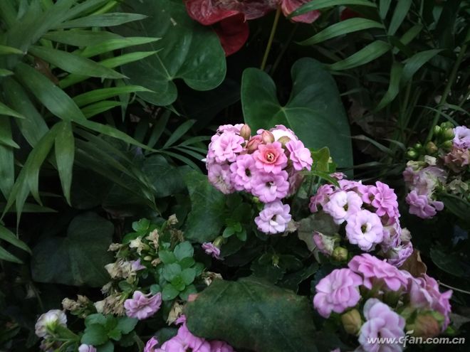 1399元起是否物超所值？360手机N5评测体验