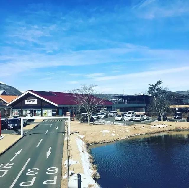 不去看樱花去看海,不去看樱花看西府海棠