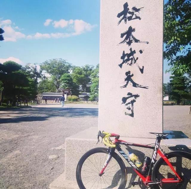 不去看樱花去看海,不去看樱花看西府海棠