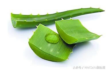 护肤修复毛孔的方法,毛孔收缩正确护肤方法