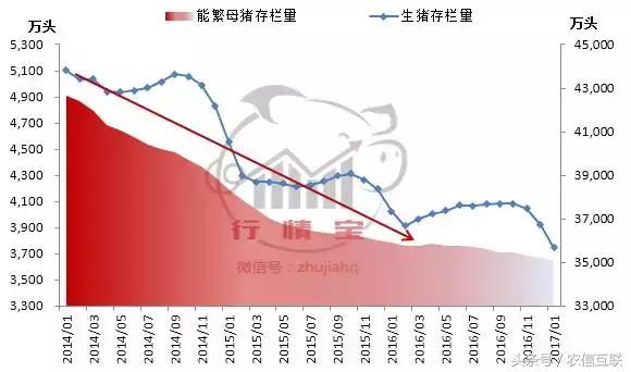 市场目前猪价,进口猪肉受限猪价会涨吗