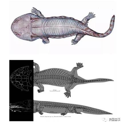 鬼吹灯真人真事吗,鬼吹灯的真相