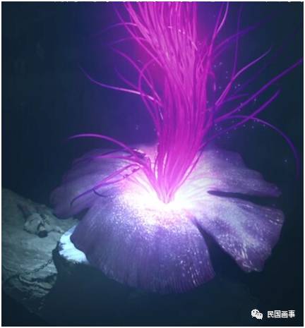 鬼吹灯真人真事吗,鬼吹灯的真相