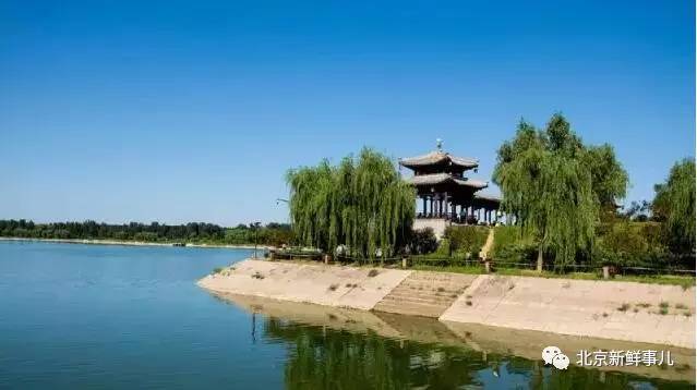 北京植物园踏青赏花,踏青赏花北京