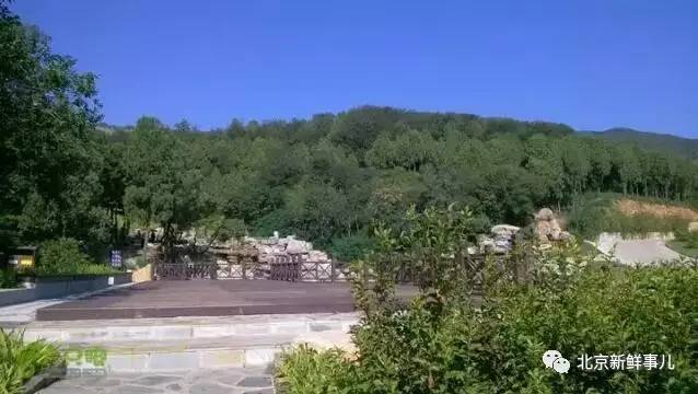 北京植物园踏青赏花,踏青赏花北京