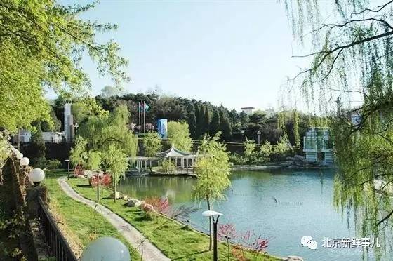 北京植物园踏青赏花,踏青赏花北京