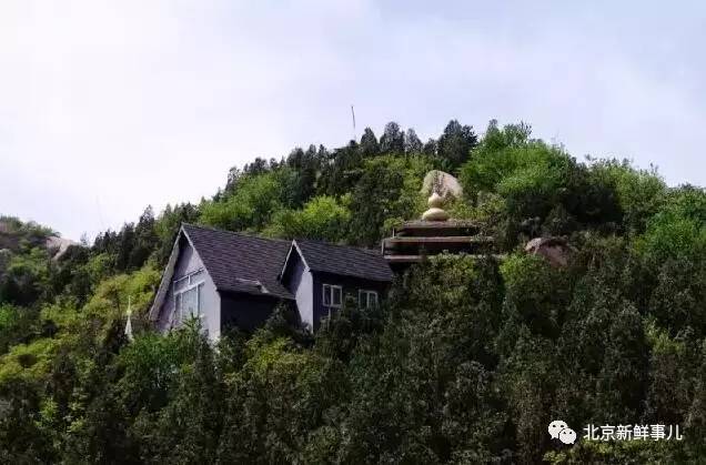 北京植物园踏青赏花,踏青赏花北京