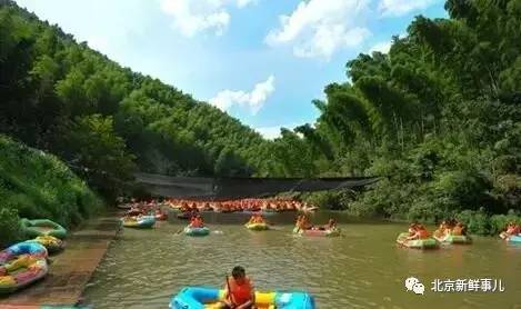 北京植物园踏青赏花,踏青赏花北京