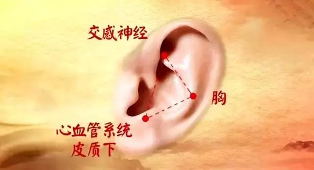 心脑血管病如何保护好心脏,心脑血管怎么保护最好