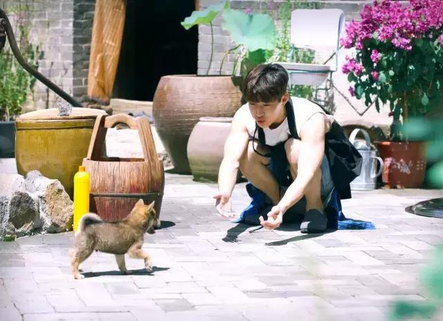 黄磊做佛跳墙,黄磊做佛跳墙视频完整版