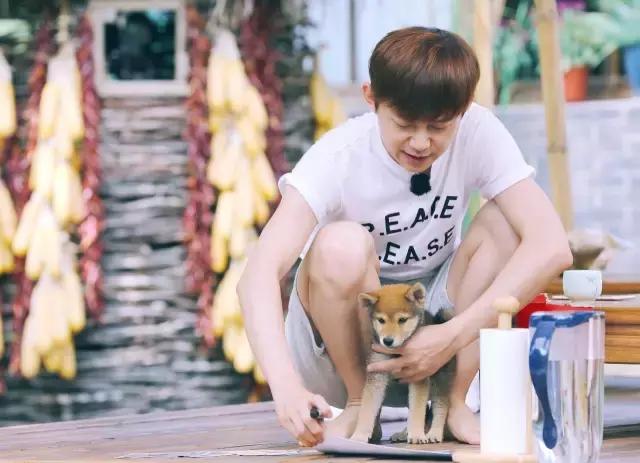 黄磊做佛跳墙,黄磊做佛跳墙视频完整版