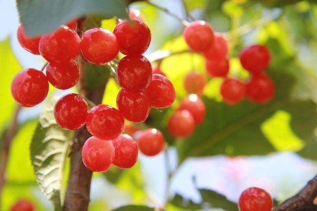 祛斑只需三步,祛斑到底怎么祛得快一点