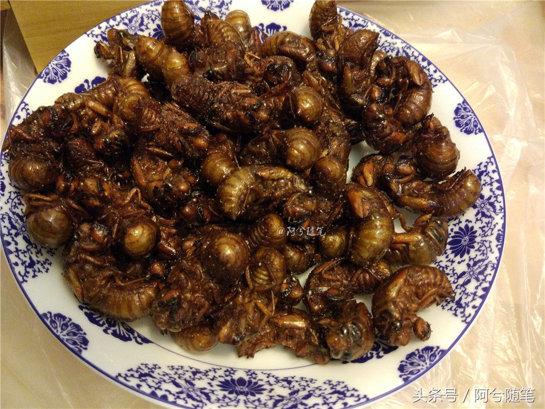 农村5万元创业项目推荐,农村适合穷人的18个创业项目