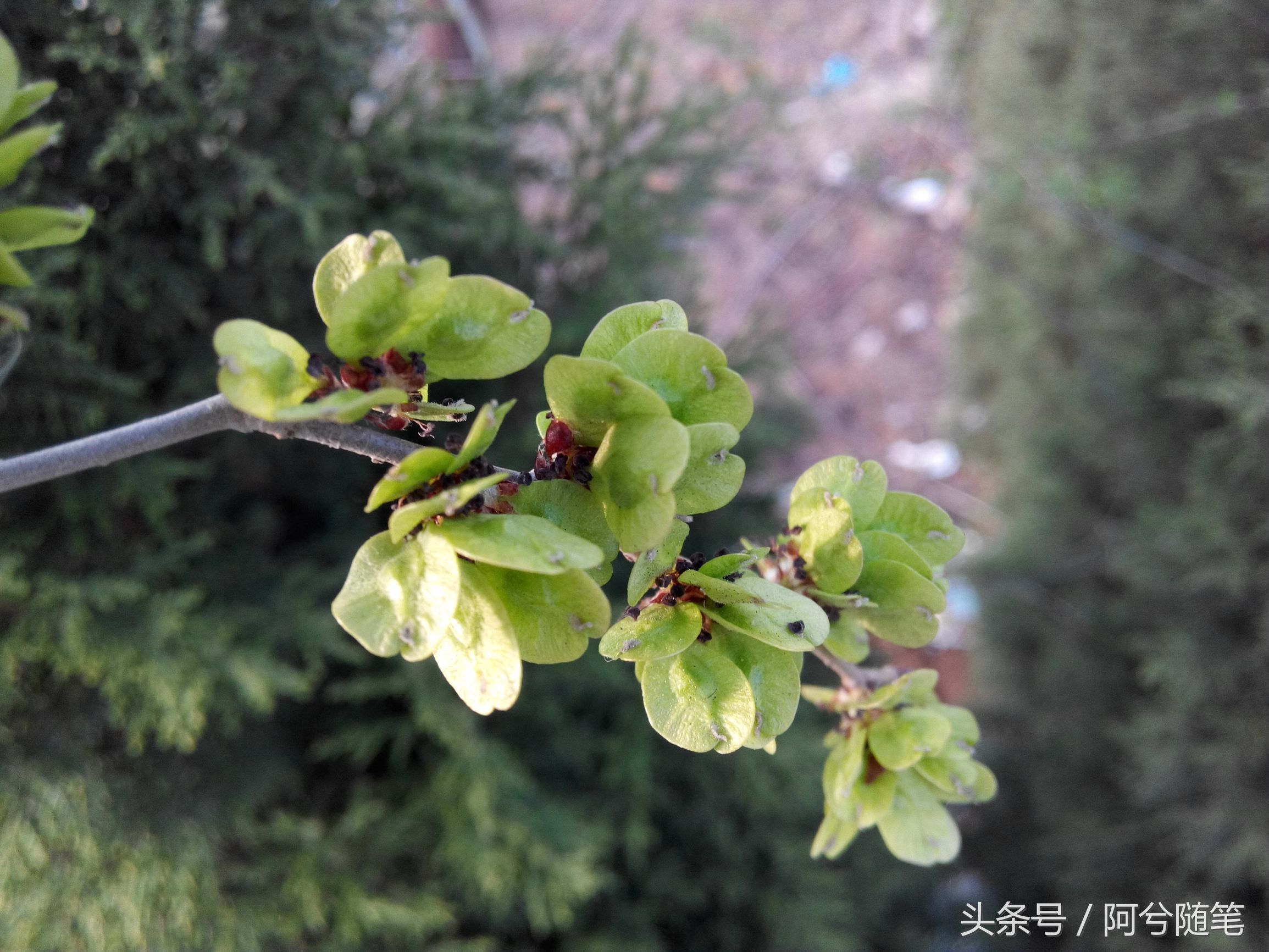 农村5万元创业项目推荐,农村适合穷人的18个创业项目