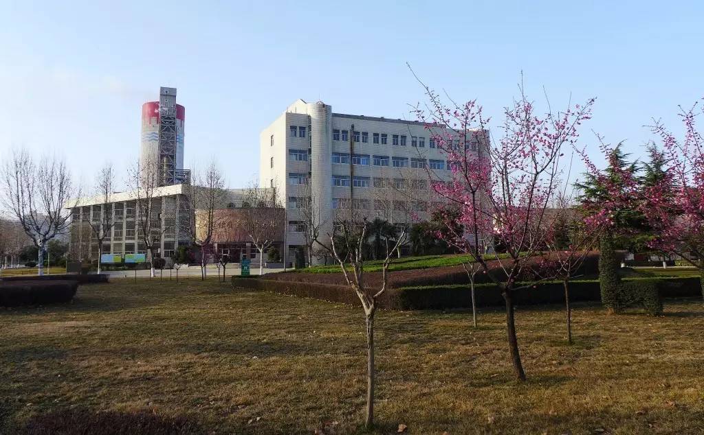 印象渭南:情寄雪梅