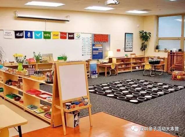 深圳市南山区幼儿园择校最全攻略,深圳南山要择校怎么考