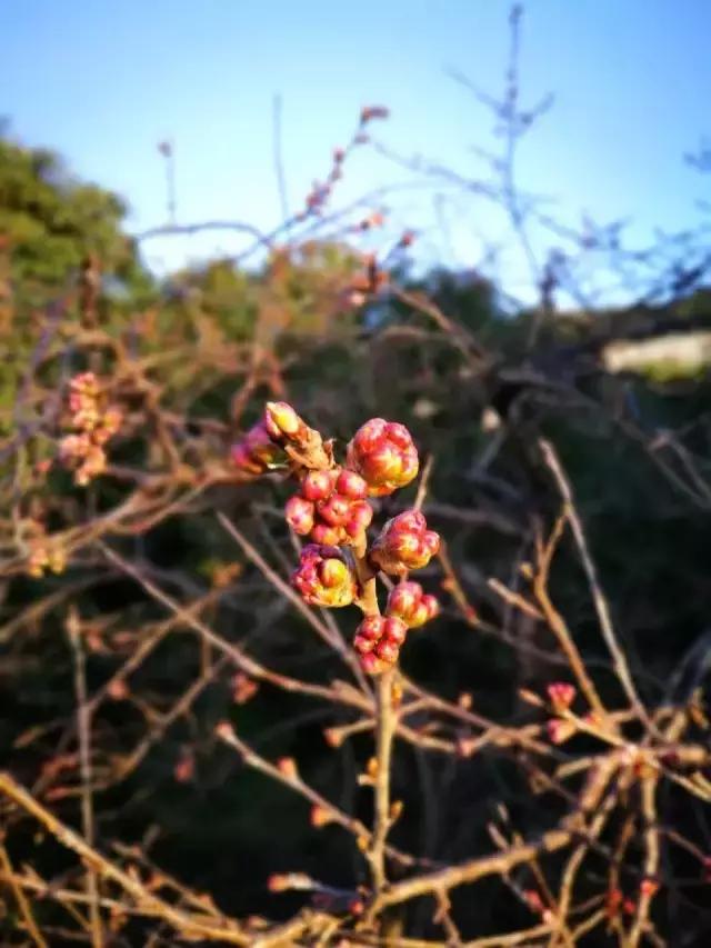 试驾上汽荣威i6p,2017款荣威i6三缸机试驾