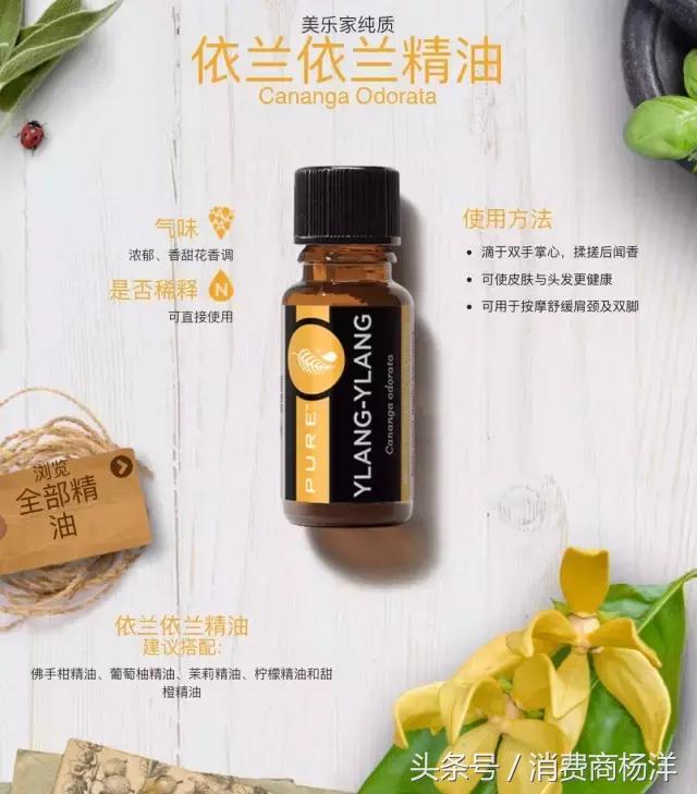 十二款精油的介绍
