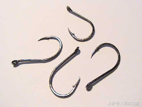 钓鱼新手常见问题,钓鱼问题处理