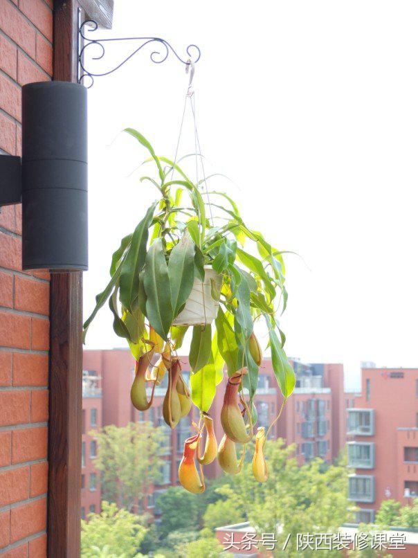 原木风一梯一户,一户一房一厅装修效果图