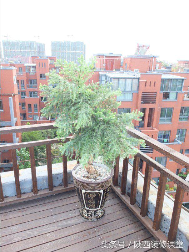 原木风一梯一户,一户一房一厅装修效果图