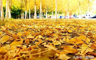 qq个性霸气说说