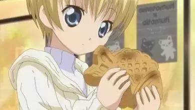 人人都知道的中国美食,日本美食纪录片视频