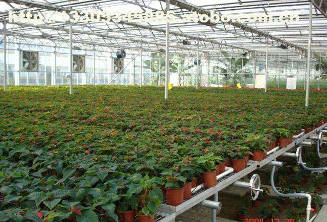 城市套路深我要回农村种田的说说,适合农村的靠谱创业好项目