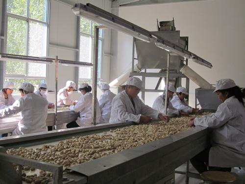 城市套路深我要回农村种田的说说,适合农村的靠谱创业好项目