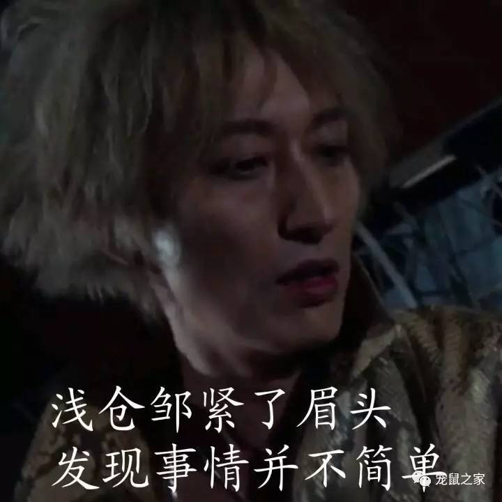 荷兰猪尿钙是什么意思,怎么判断荷兰猪尿钙