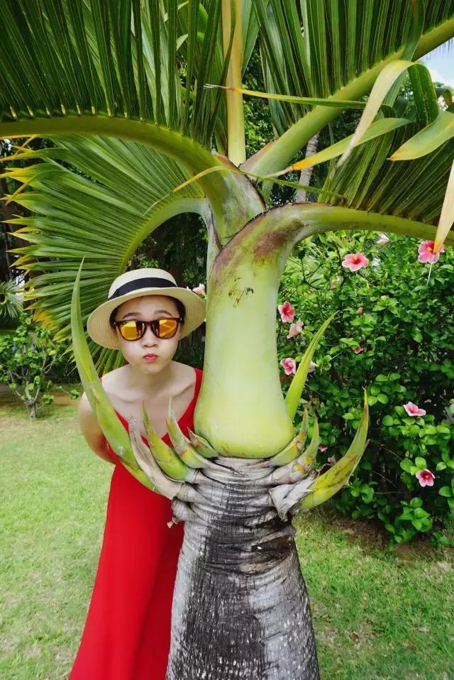 毛里求斯，拿水壶换保时捷的天堂