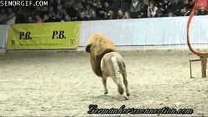 十条笑话：老师从后门窜进来，对我说了句；没收！