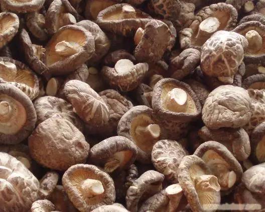 年货赣南特产有哪些,粤赣土特产